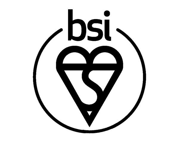 BSI Logo